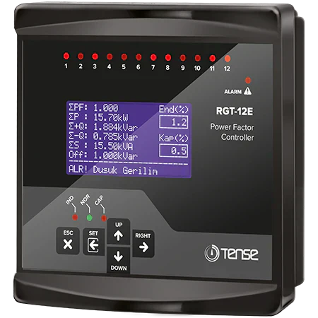 RGT-12E reactive power regulator image